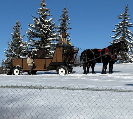 Free Sleigh Ride